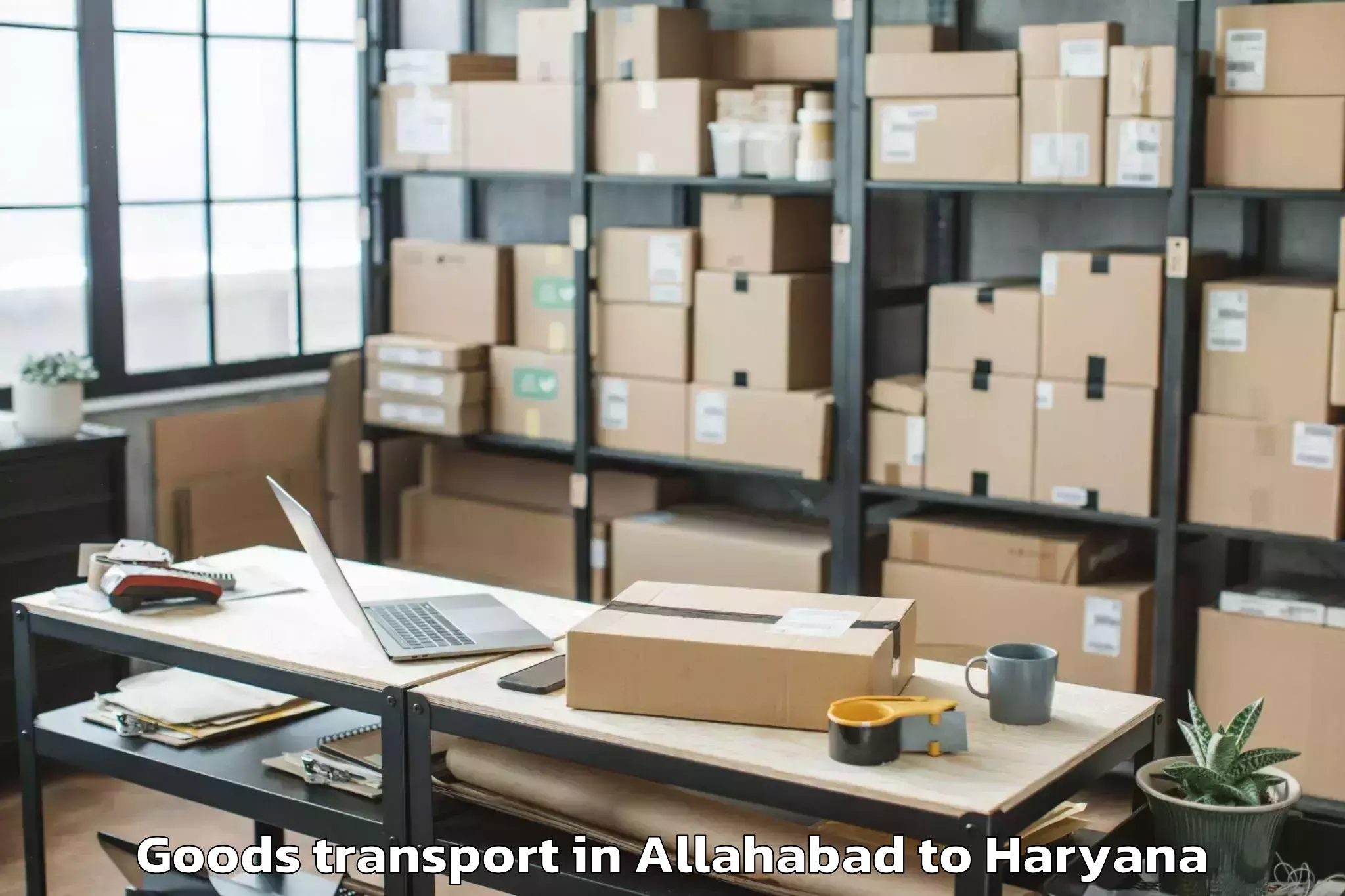 Trusted Allahabad to Rewari Goods Transport